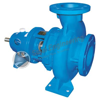 Thermic Fluid Pumps