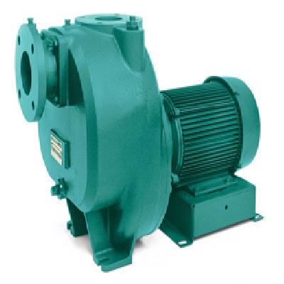Xylem Water Pumps
