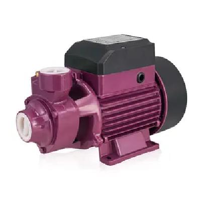 0.5 HP Domestic Water Pump