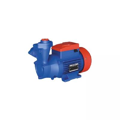 1 HP Monoblock Pump