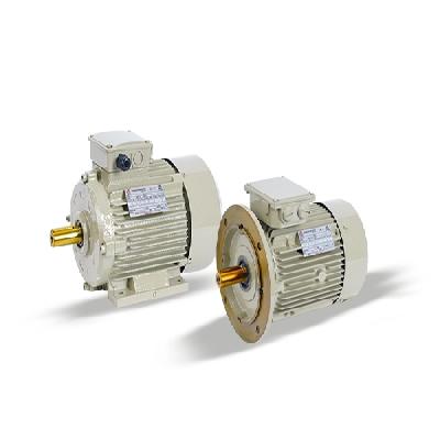 High Efficiency Standard Motors