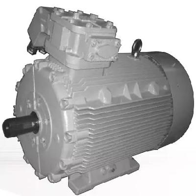 High TEFC Flame Poof Motors