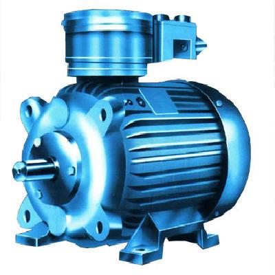 High TEFC Flamepoof Motors