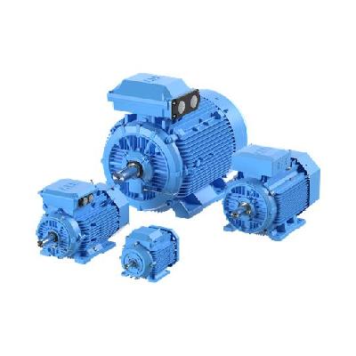 Low Voltage Motors