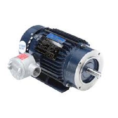 Marathon Electric Motors
