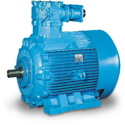 Multi Speed Flameproof Motors