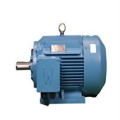 TEFC Electric Motors