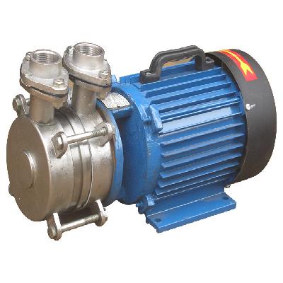 Series RPS Self Priming Pump