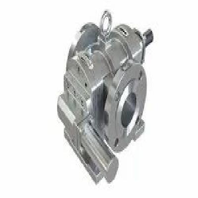 Rotary Ss Gear Pumps