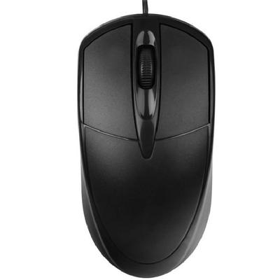 Computer Mouse