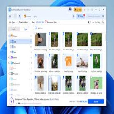 Data Recovery Software