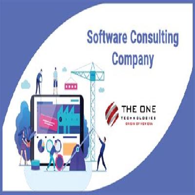 Computer Software Consulting Services