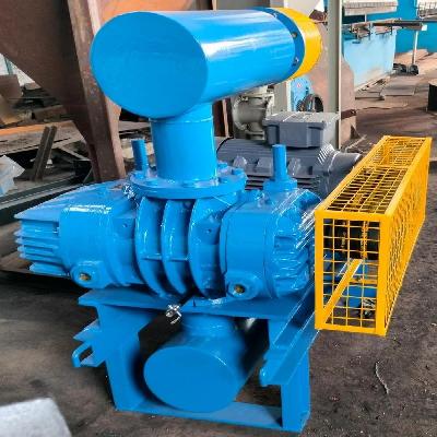 Twin Lobe Roots Blower