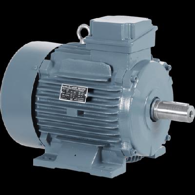 Crompton Make Motor - IE2, IE3