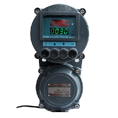 Flame Proof Meter