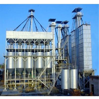 Rice Mill Parboiling and Drying