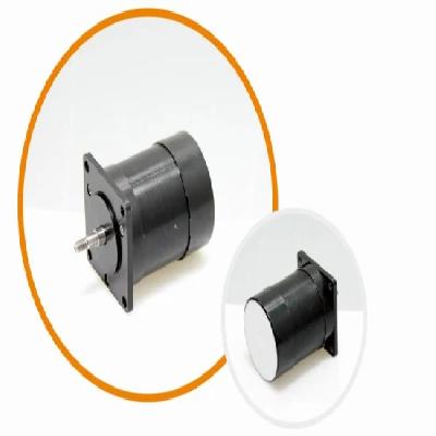 Brushless Dc Motor