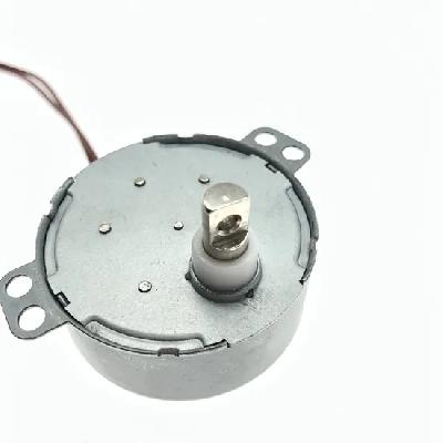 Single Phase Synchronous Motor