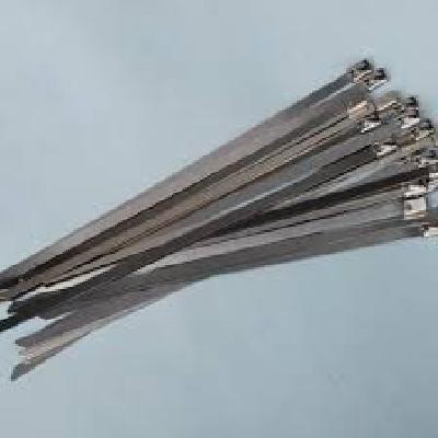 Stainless Steel Cable Ties