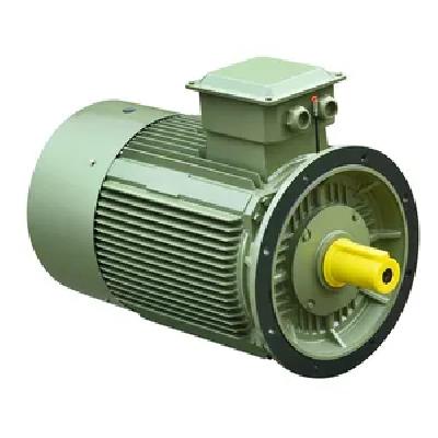 Unidirectional Synchronous Motor
