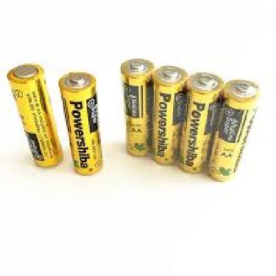 Panasonic Industrial Alkaline Battery