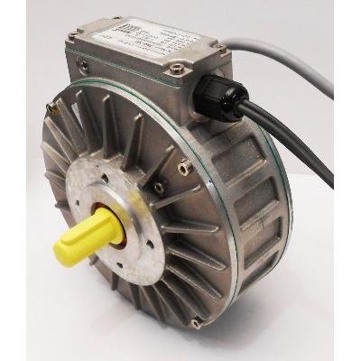 Synchronous Motor