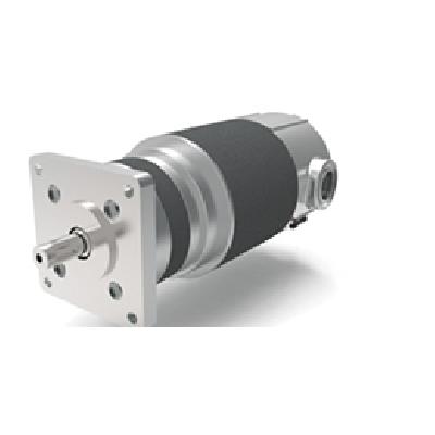Esautomotion EL-155-40-270 Square 155 mm EL-Motors Series