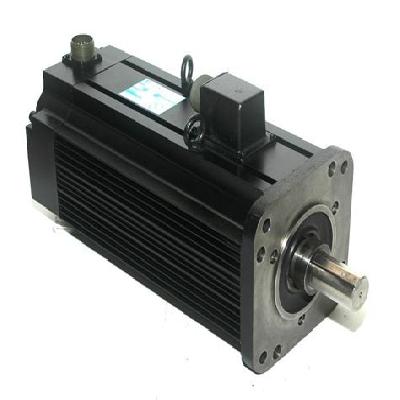 30HP AC Servo Motor