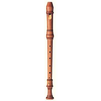 Recorders Instrument