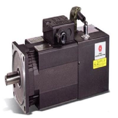 Induction SERVO /Spindle Motor