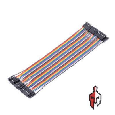 3 Pin Jumper Wire Female To Female 30 cm long