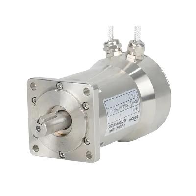 AC DC Servo Motor