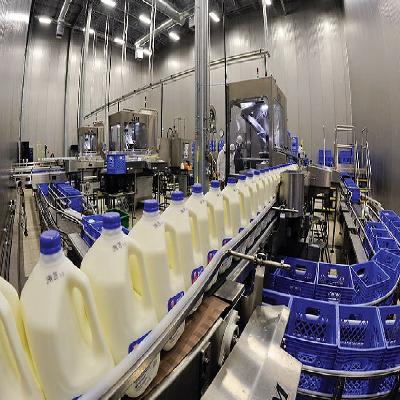 Automation Services for Dairies and Food Industry
