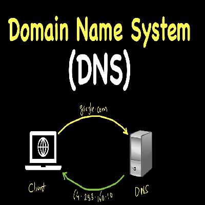 Domain Registration Services