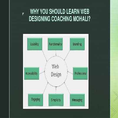 E Commerce Website Designing Training Course Service