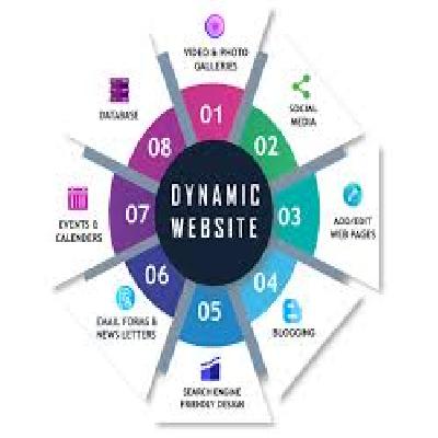 Dynamic Website Development
