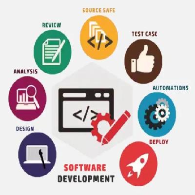 Website Design 