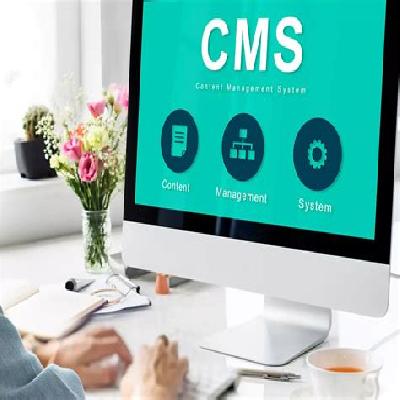 CMS Development Service