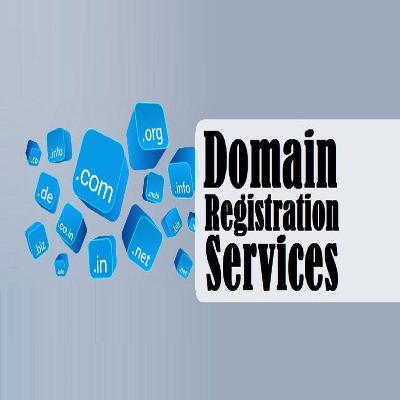 Domain Registration Service
