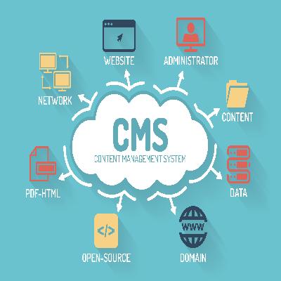 CMS-Development