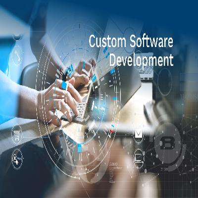 Customized Software Development Service