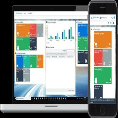 Wholesale Accounting Software