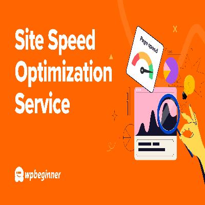 Onsite Optimization Service
