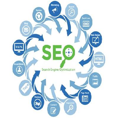 Search Engine Optimization Service