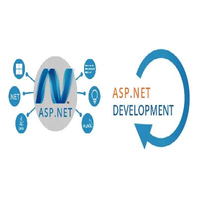 ASP .Net Website Development Company