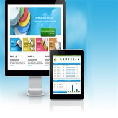 Database Website Development