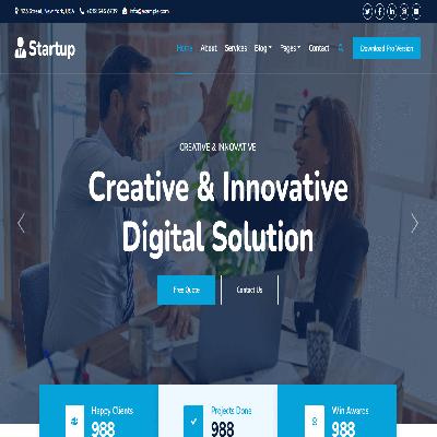 Startup Web Designing service