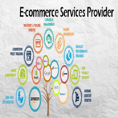 Ecommerce Service Provider
