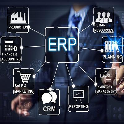 Hire ERP Developers Service