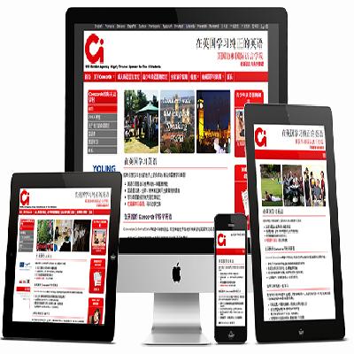 Website Design and Development